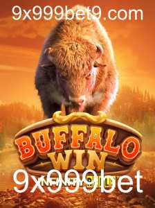 Descubra o Fascinante Mundo de BuffaloWin no 9x999bet